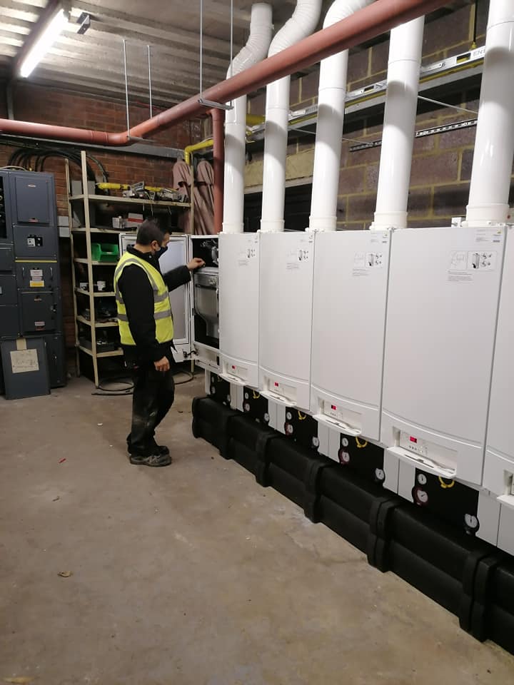 126842691_10218254929627538_8523086948228373453_n