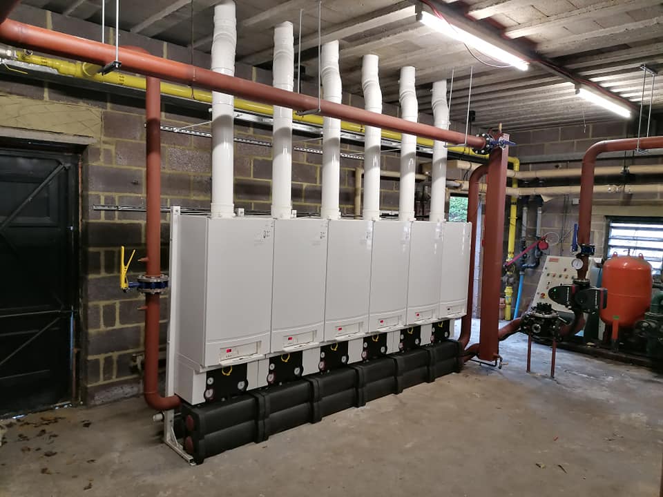 126851386_10218254928907520_7851890645931336142_n